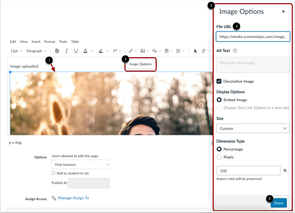 Update Image Options