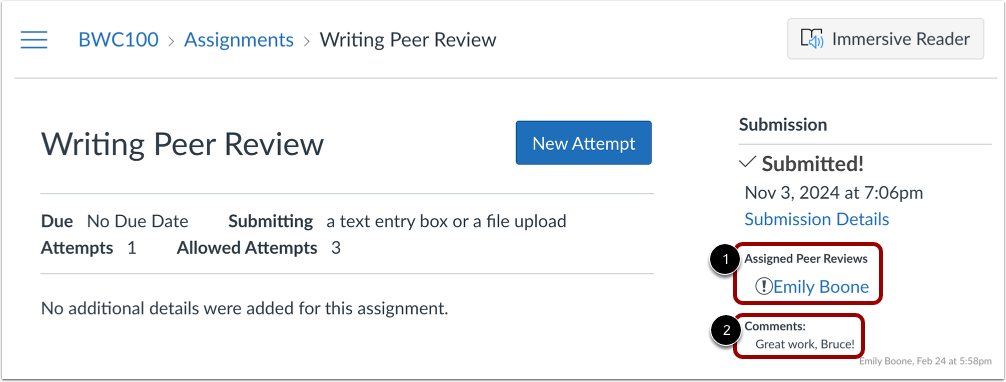 Performing Peer Reviews