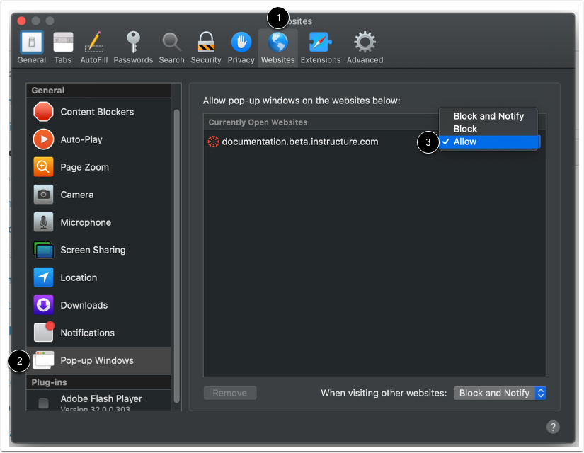 Allow Pop-Ups in Safari
