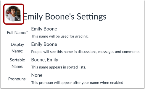 Open Profile Picture