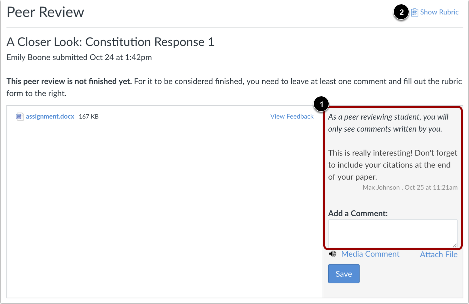 View Peer Review Comments