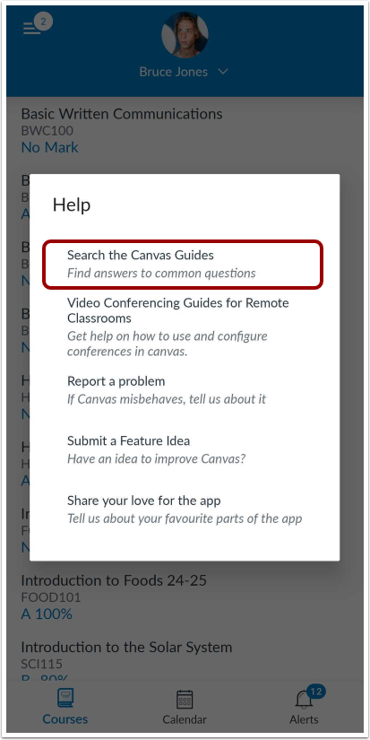 Search the Canvas Guides