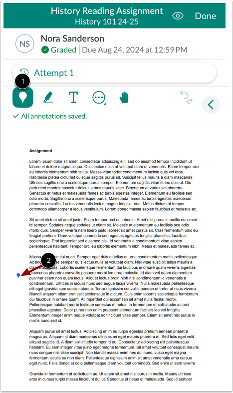 Add Point Annotation