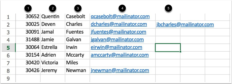 Spreadsheet example photo