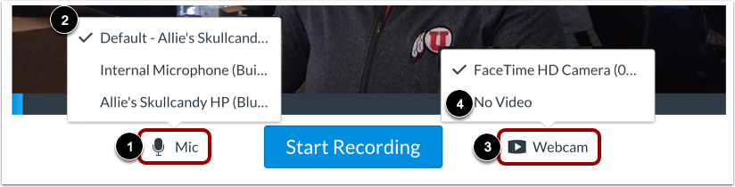 Select Mic and Webcam Options