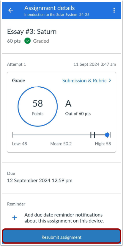 View Assignment Submission Details