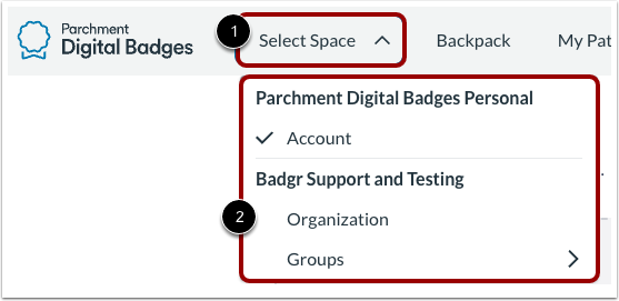 Accessing individual organization privacy and security settings