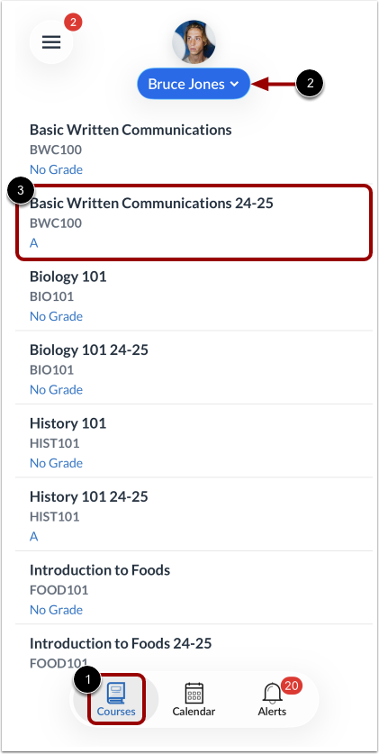 How do I view details for an assignment in the Canvas Parent app on my ...