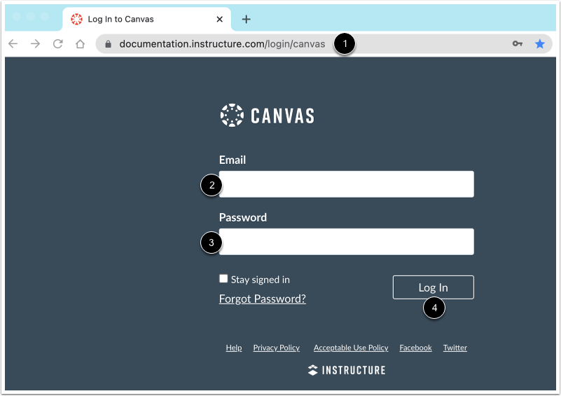 Log in to your Canvas