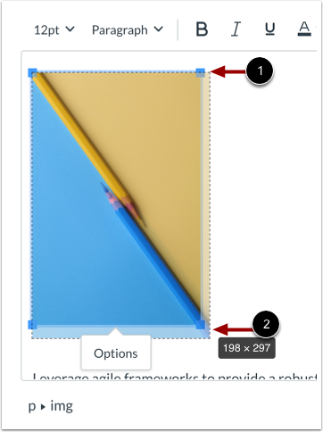 Manually Adjust Image Size