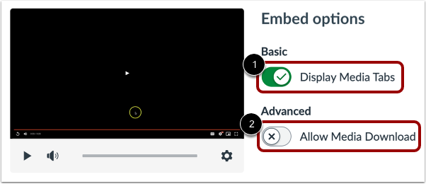 Select Embed Options