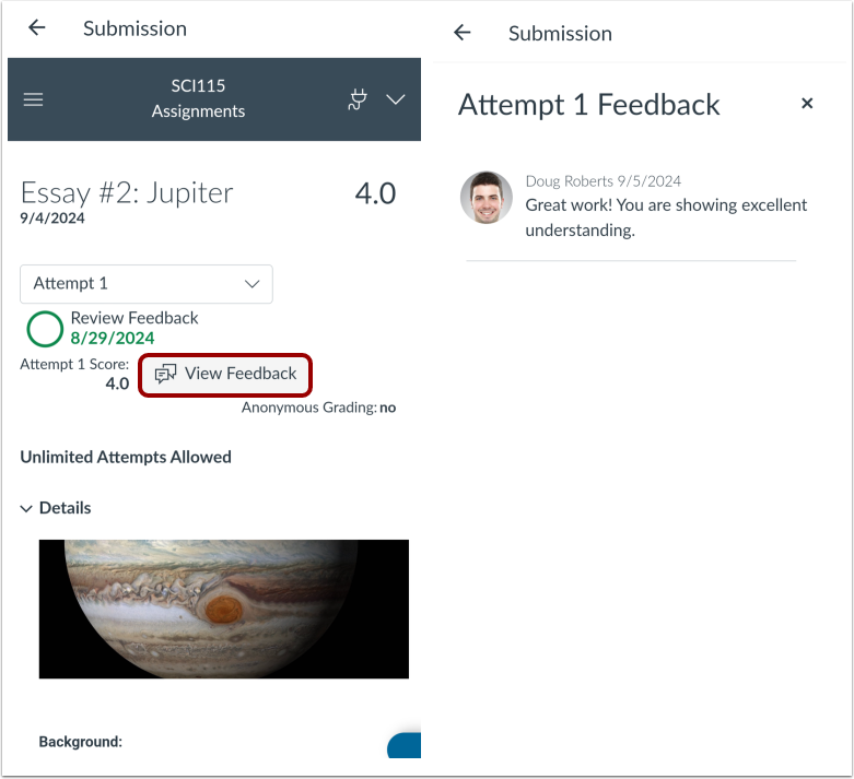 View Feedback in Assignment Enhancements