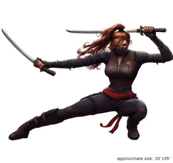 pick_femaleninja.jpg