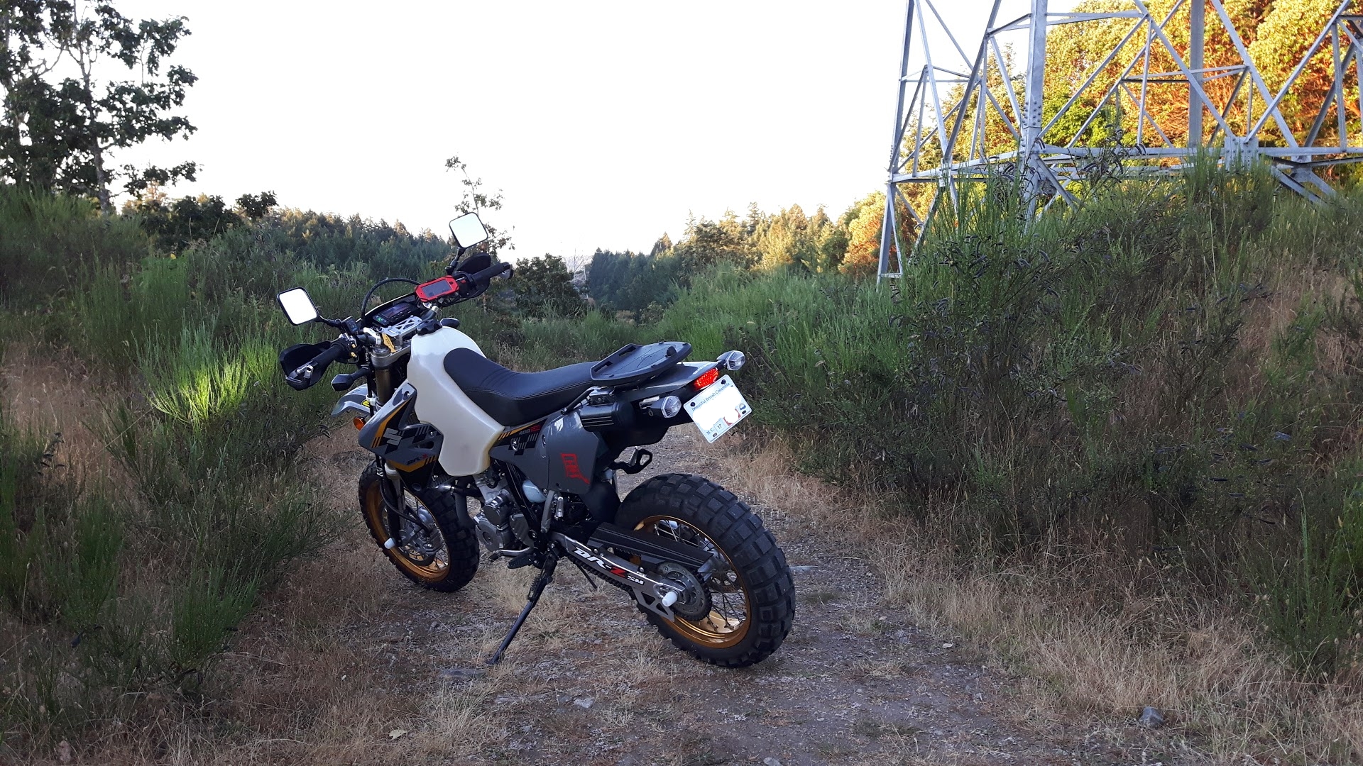 Powerlines.jpg