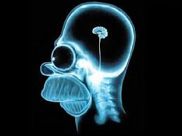 HomerBrain.jpg