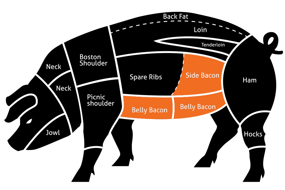 What-Part-of-the-Pig-Does-Bacon-Come-From-2.png