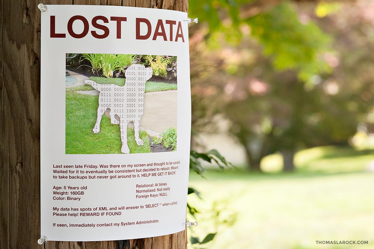 lost_data_h.jpg