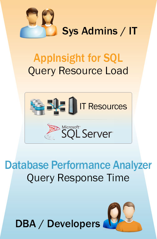 appinsight-dpa-with-roles.jpg