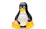 201731-linux_penguin_180_original.jpg