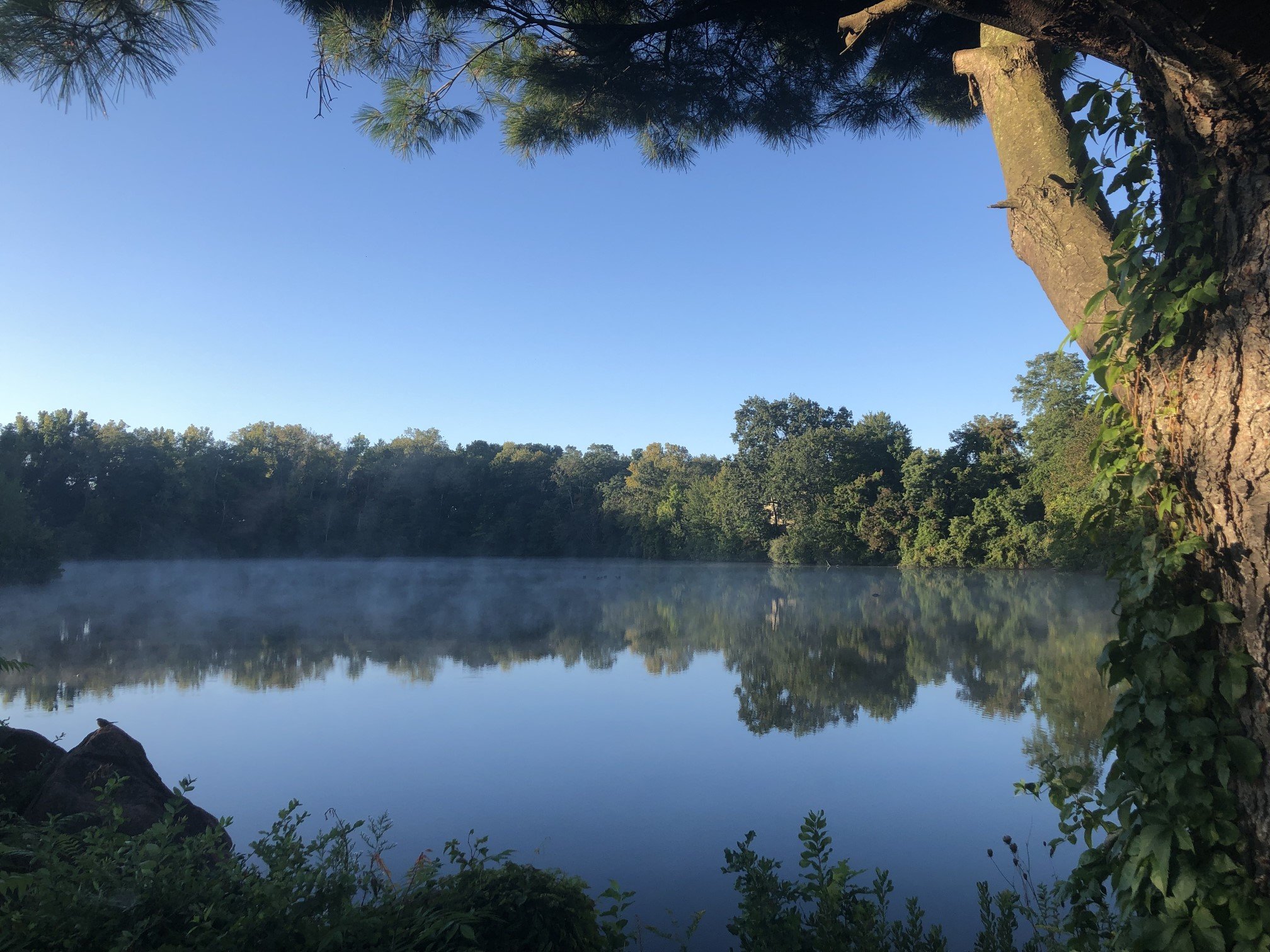 pond.jpg