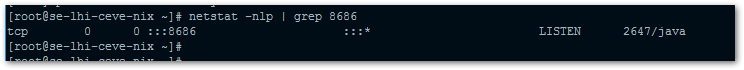 pastedImage_4.png
