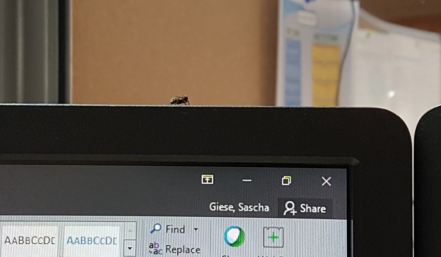 20170719_143846.jpg