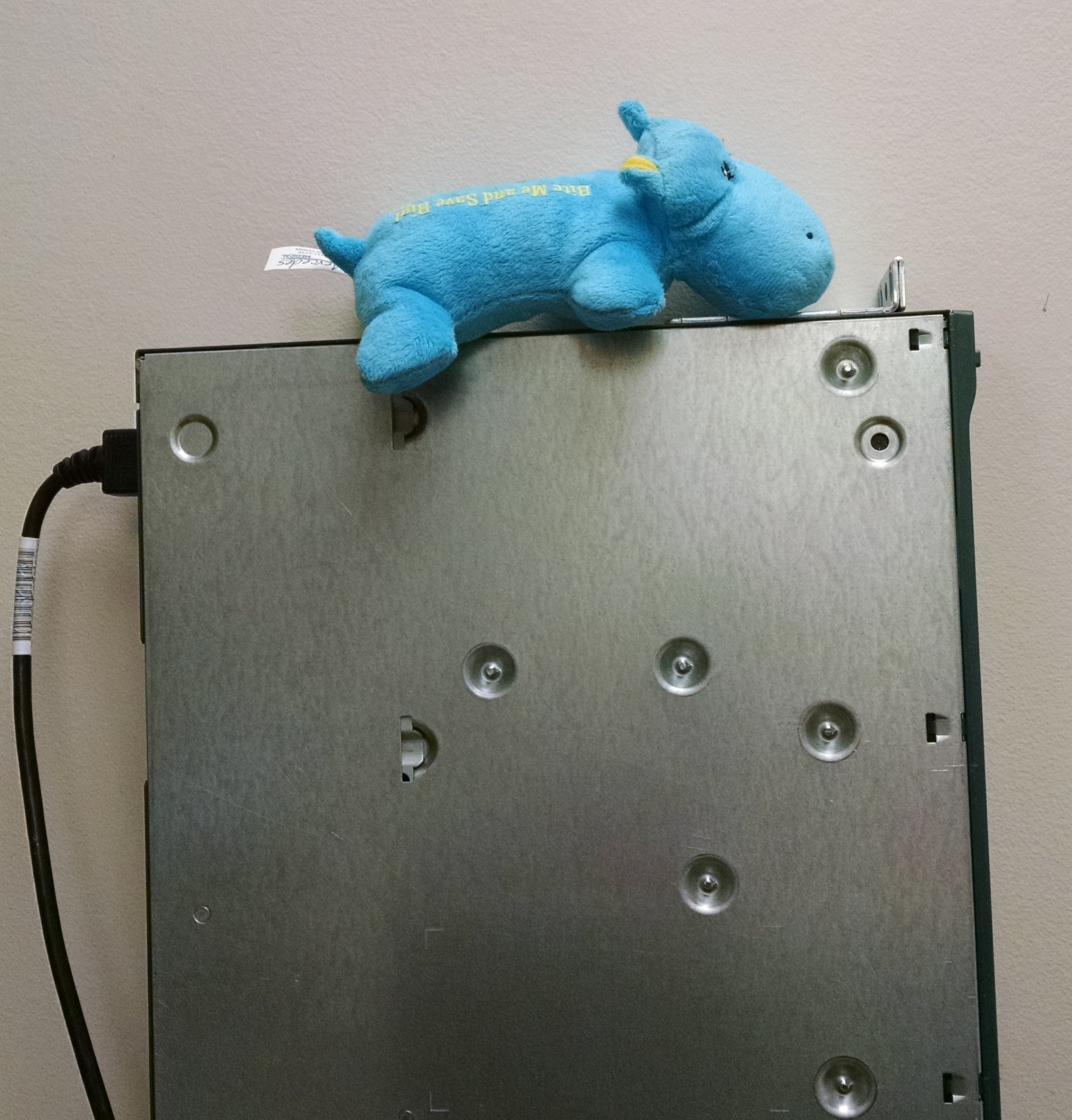 Hippo.jpg