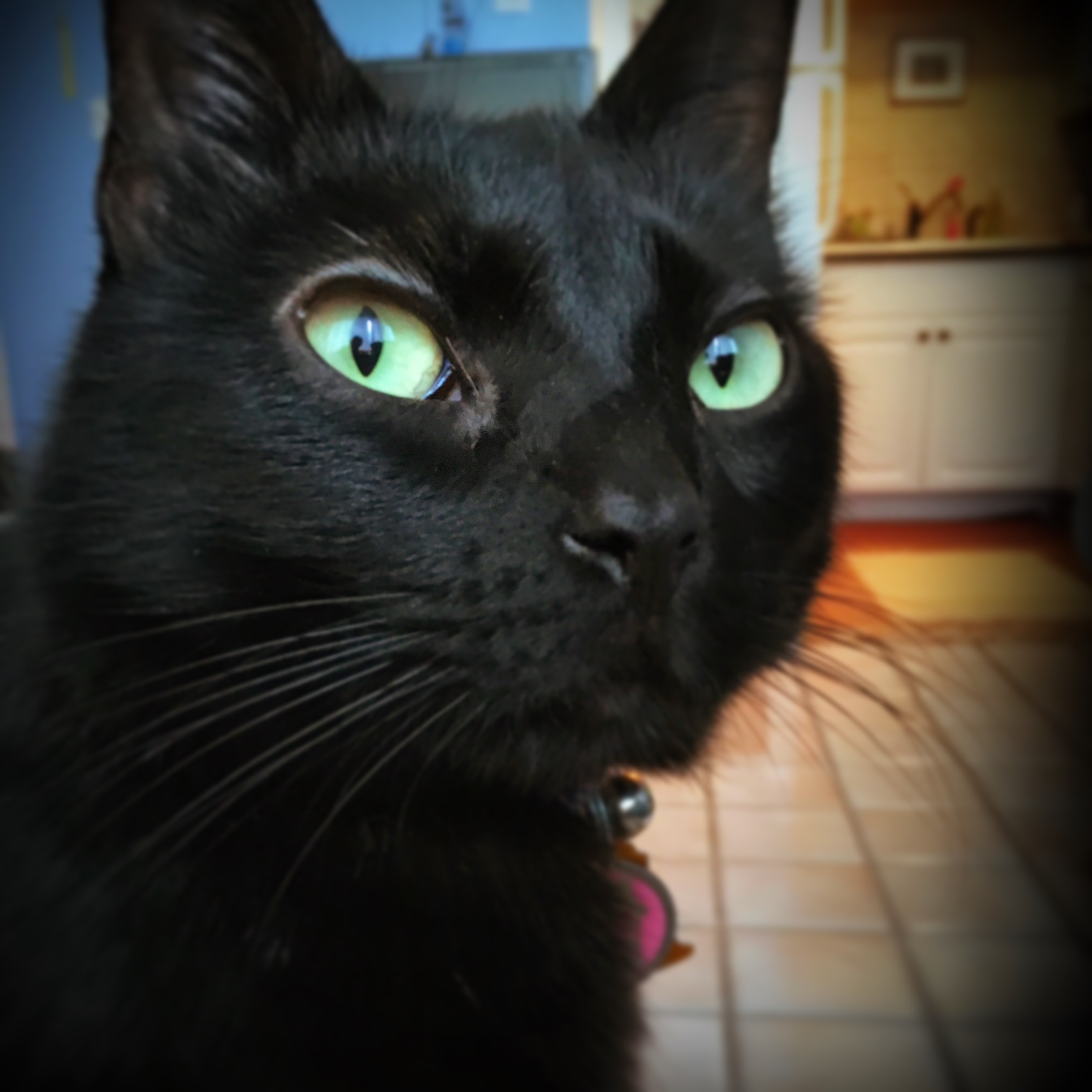 Zoe1.jpg