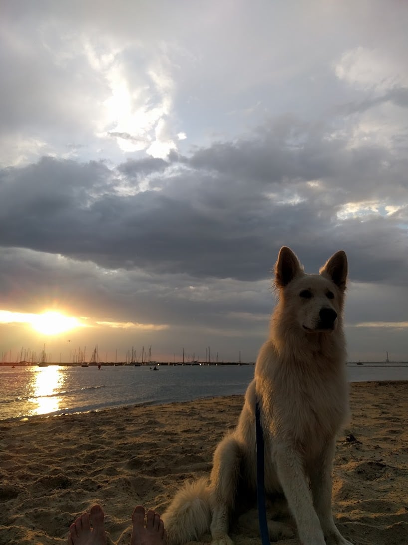 odin3.jpg