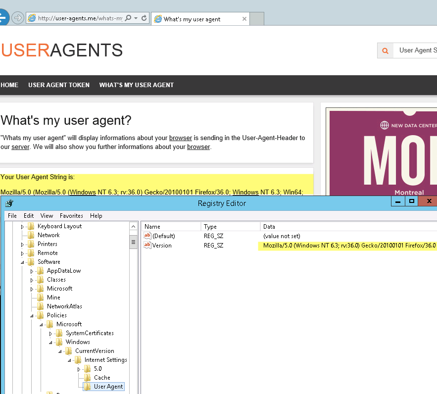 Customize user agent string? - THWACK