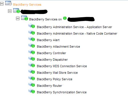 BBerry.JPG