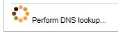 DNS_lookup.JPG