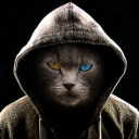 Photo of renin