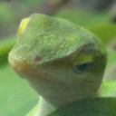 Photo of phillipmanning