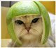 Photo of aniki84