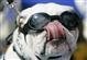 Photo of max2479