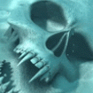 Photo of delfaver