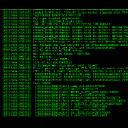 Photo of kernel___panic___