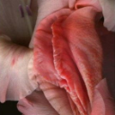 Photo of jamesatloop1