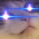 Photo of skippingcheeto