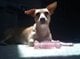 Photo of MarieB
