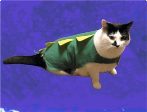 Photo of shantellevye