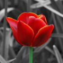 Photo of dezire0