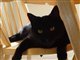 Photo of aa_kiwi