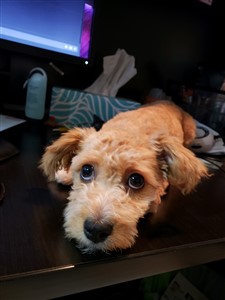 Photo of techie77