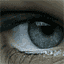 Photo of avn