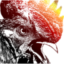 Photo of rooster76