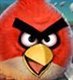 Photo of nightowl