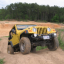 Photo of yellowtj