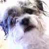 Photo of smalleggo